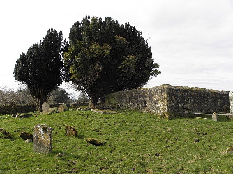 File:Donaghrisk Old Graveyard.jpg