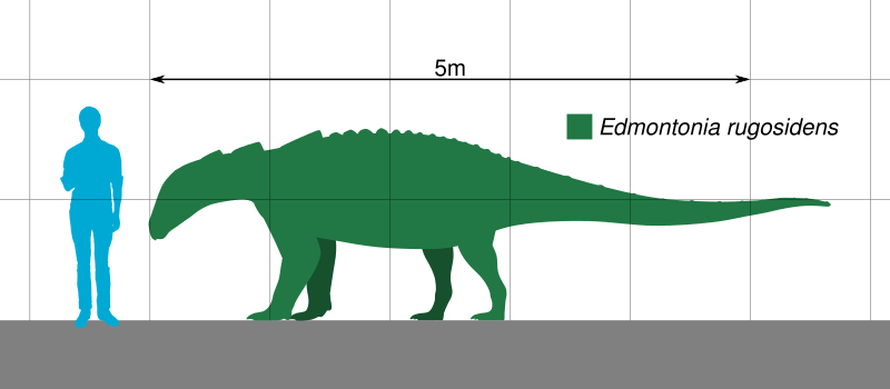 File:Edmontonia Scale.svg