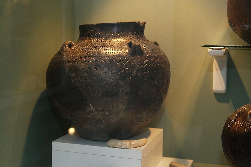 File:GlobularAmphoraPiatraNeamt.JPG