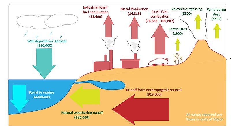 File:Lead Cycle Updated.jpg