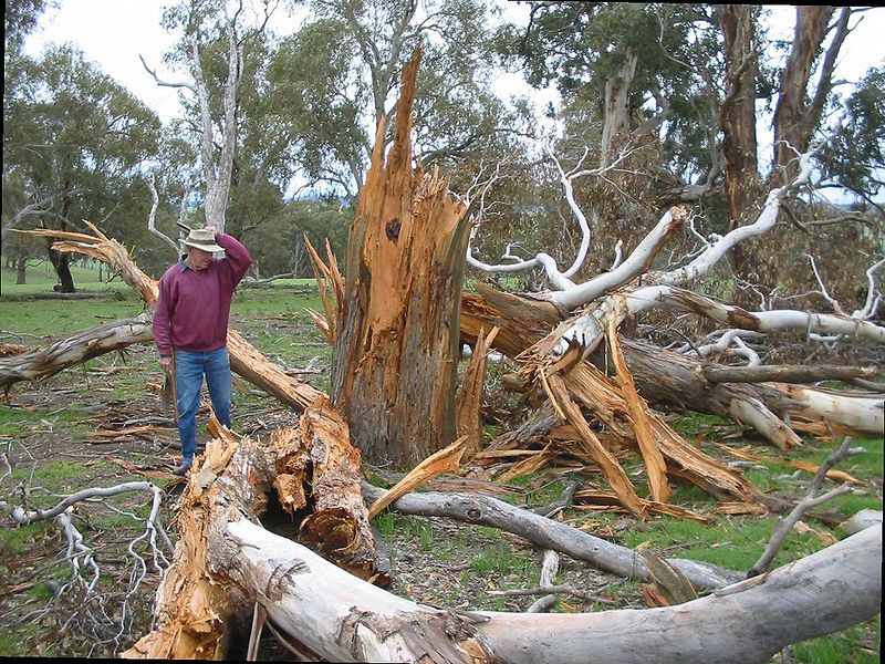 File:Lightning damage.jpg