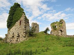 Partial remains of stone walls, partly covered in vegetation