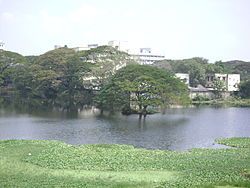 Chetpet Lake in 2008