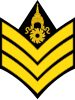 File:RTA OR-5 (Sergeant).svg