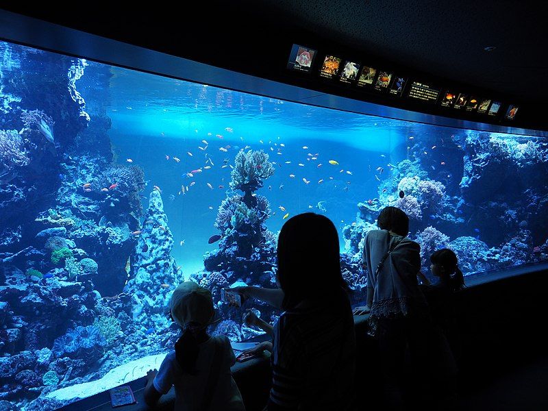 File:Sunshine Aquarium 01.jpg