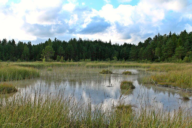 File:Valgejärv augustis.jpg