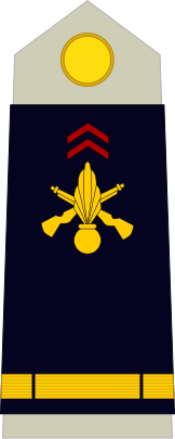 File:Army-FRA-OF-01c.svg