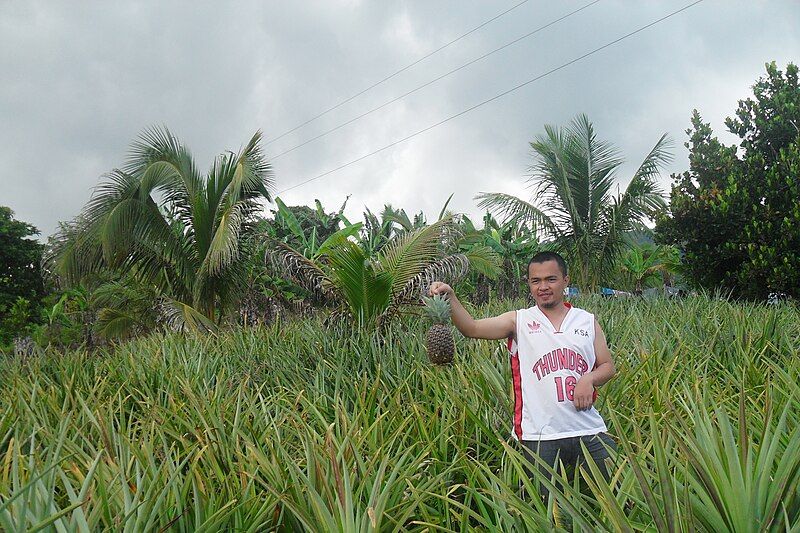 File:At Bantayan Pualas.jpg