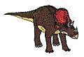 Avaceratops.