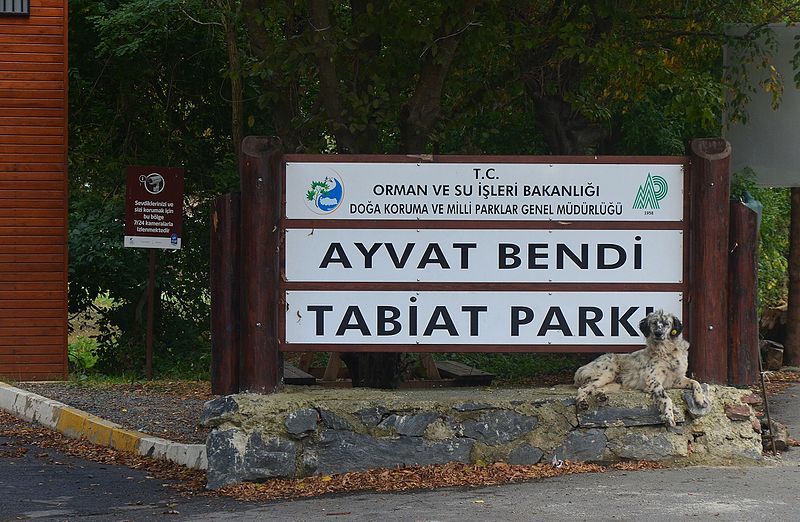 File:AyvatBendiNaturePark.jpg