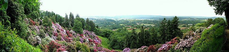 File:Burcina panorama2ridotta.JPG