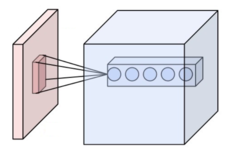 Neurons of a convolutional layer (blue), connected to their receptive field (red).