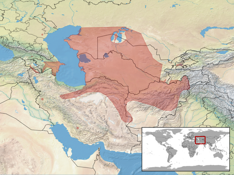 File:Cyrtopodion caspium distribution.png