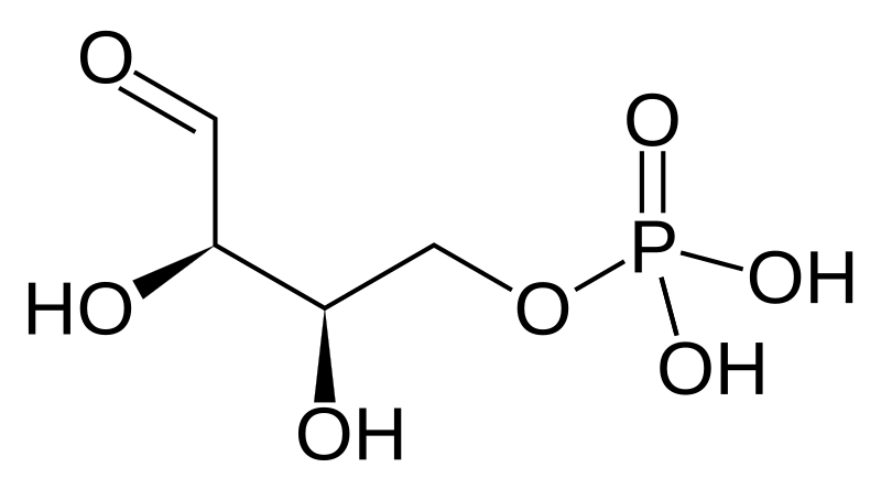 File:Erythrose 4-phosphate.svg