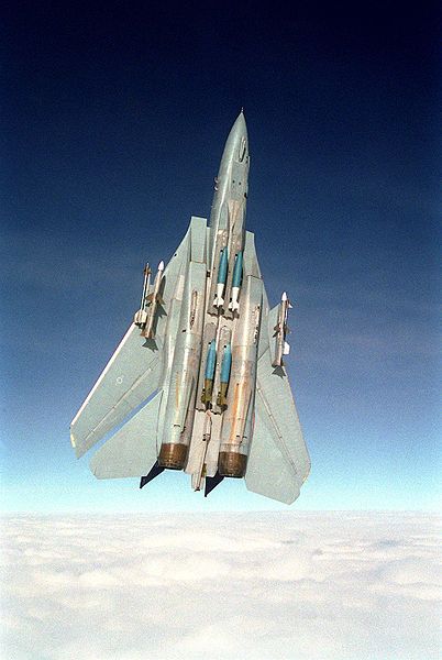 File:F-14A VF-84 VerticalMk82.JPEG