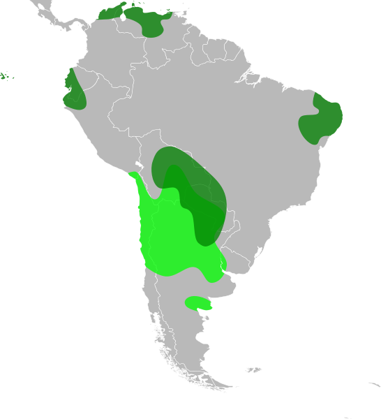 File:Geoffroea distribution.svg