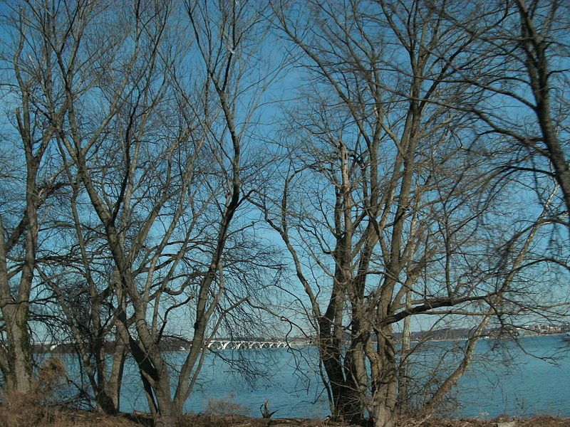 File:GeorgeWashingtonMemorialParkwaynearBelleHaven.jpg