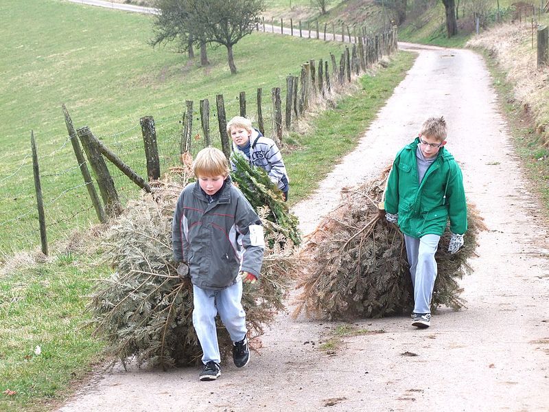 File:Hüttenbrennen a.jpg