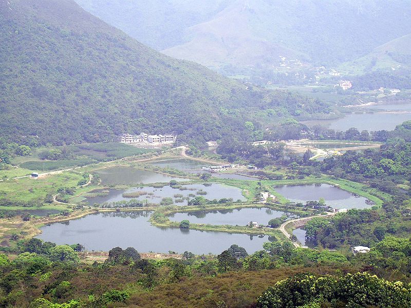 File:HK NamChung Overview.JPG