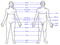 10-12-05 Problems: low information content; stylized; no technologies; no habitat; cluttered