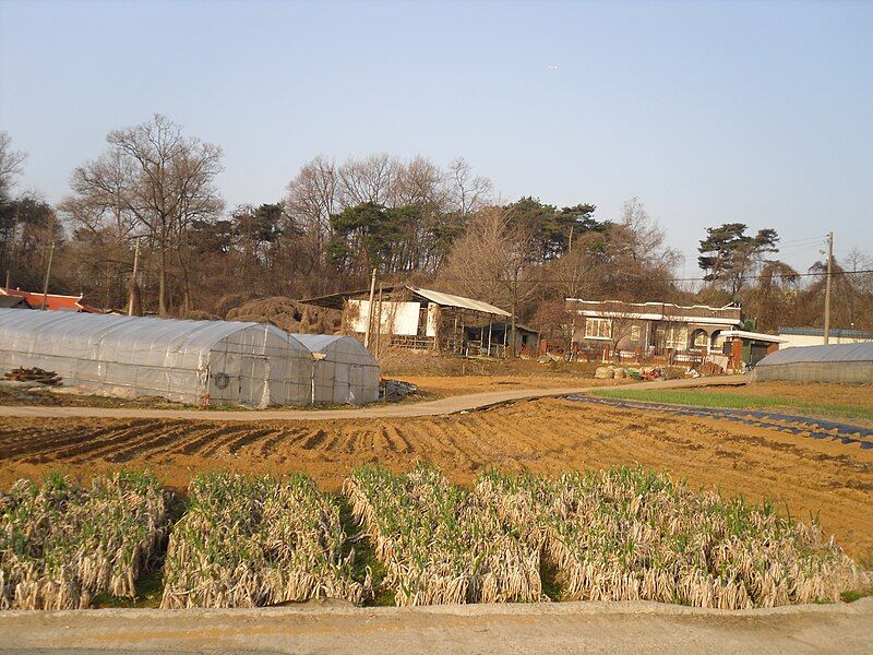 File:Joam-ri Farm.jpg