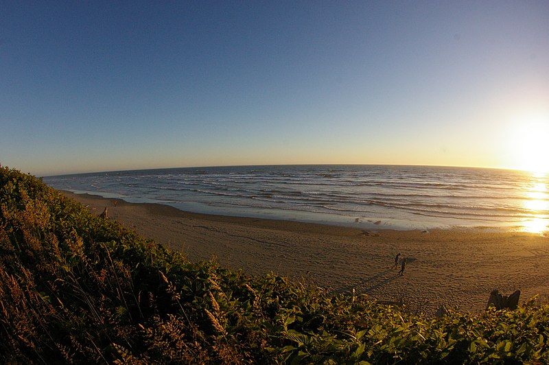 File:Kalaloch beach.jpg