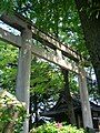 Kasai shrine Torii