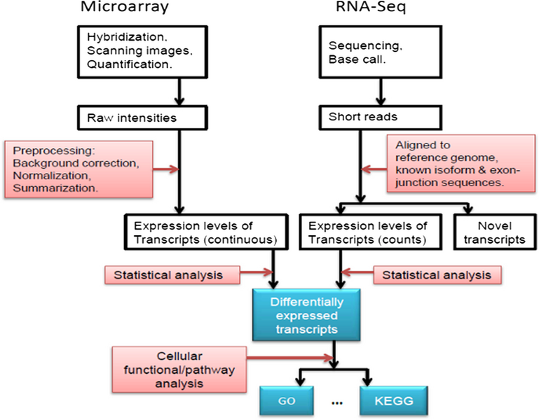 File:MIcroarray vs RNA-Seq.png