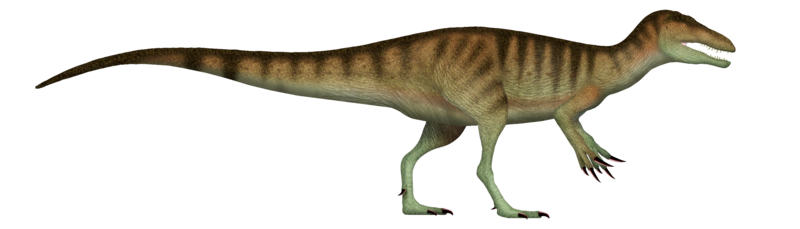 File:Murusraptor UDL.png