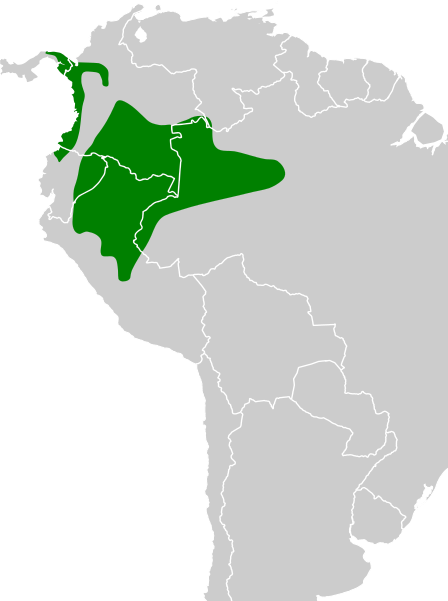 File:Myrmotherula ignota map.svg