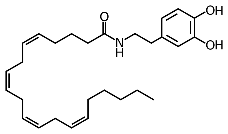 File:N-Arachidonoyl dopamine.svg