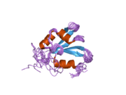 2hgl: NMR structure of the first qRRM domain of human hnRNP F