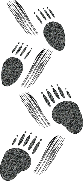 File:Porcupine tracks.png