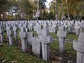 World War II graves