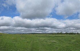 Grassy flatlands with rolling hills in the Drohobych Raion