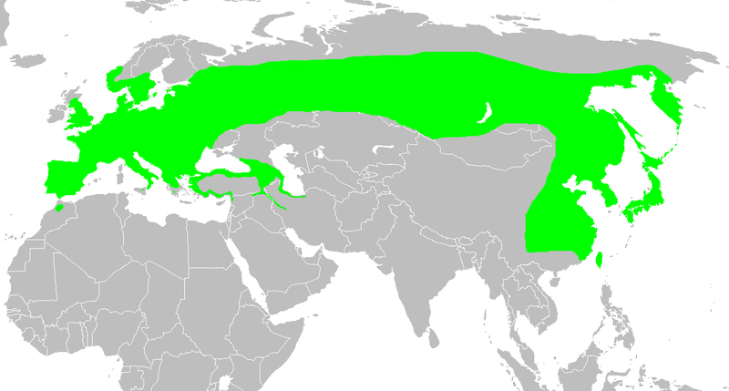 File:Sitta europaea map.png