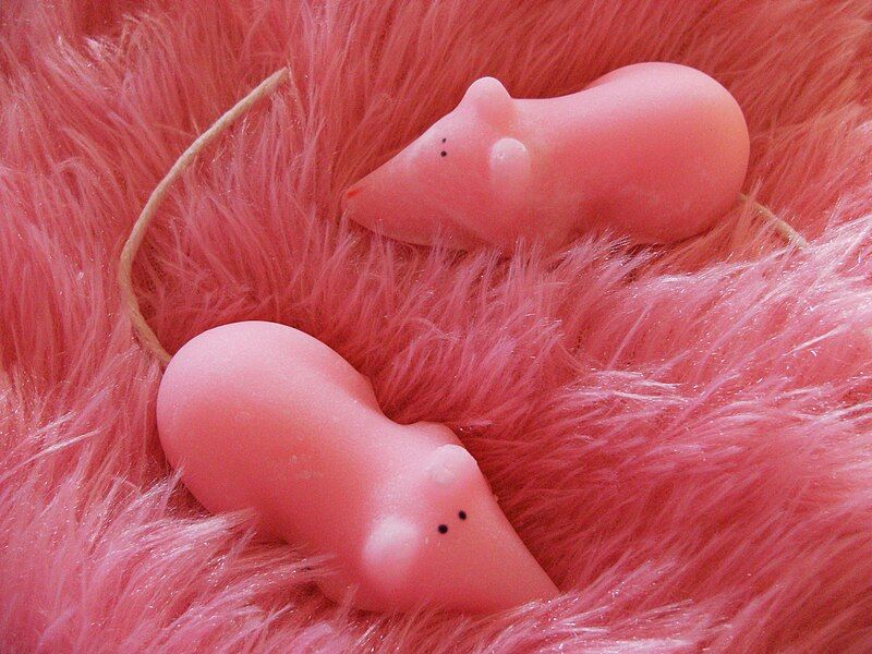 File:Sugar Mice.jpg