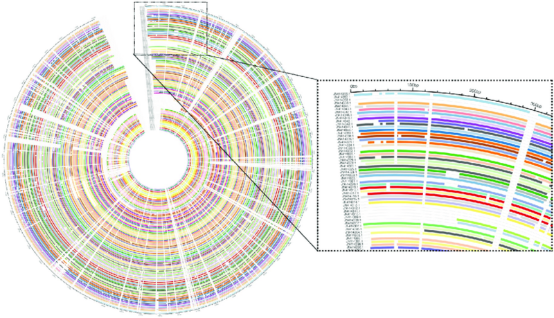 File:The-sequence-alignment-visualization-of-large-gene-sets-analyzed-with-the-AlignStatPlot.png