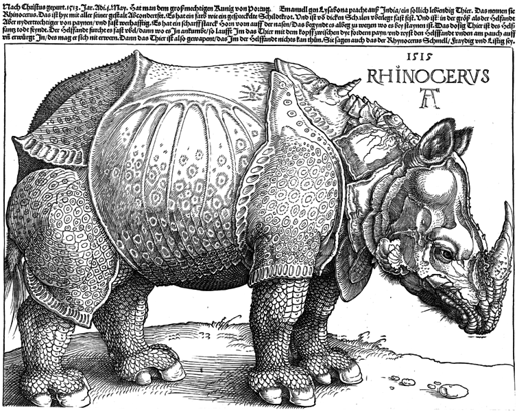 File:The Rhinoceros.png