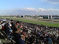 Tokyo Racecourse in western Tokyo, Japan