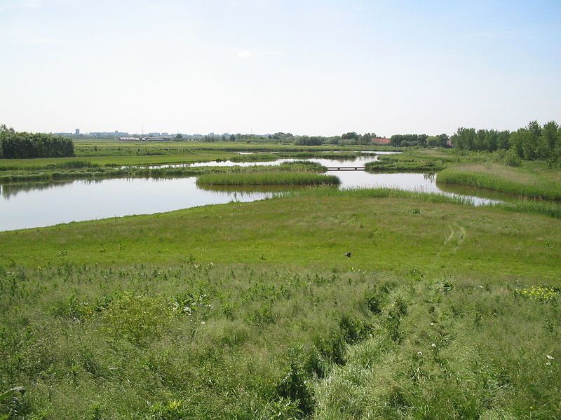 File:Abtwoudsebos delft 004.jpg