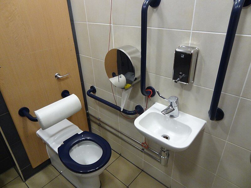 File:Accessible toilet.JPG