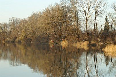 The Alter Rhein at Hohenems, on the border with Diepoldsau