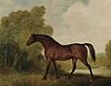 Painting of Ambrosio by George Stubbs