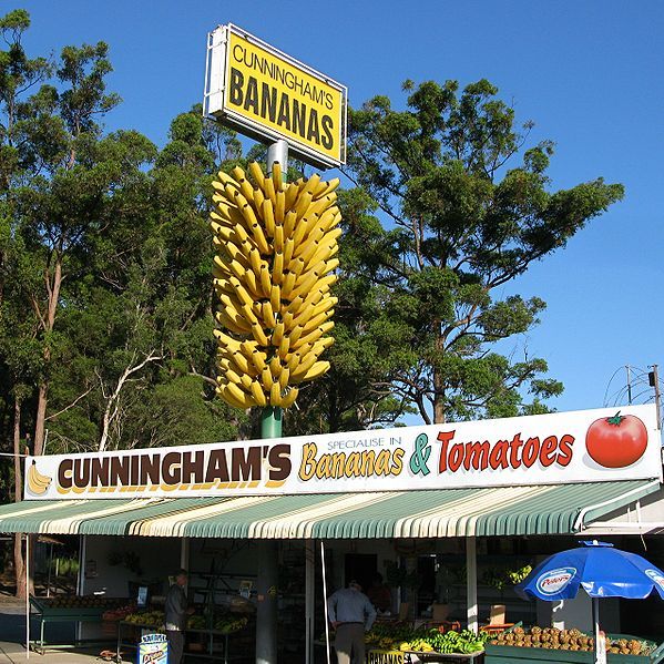 File:BigBunchOfBananas Sawtell.jpg