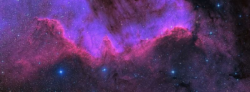 Cygnus