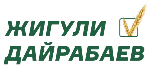 File:Dairabaev2022 logo.svg