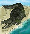 Artist's restoration of Deinosuchus.