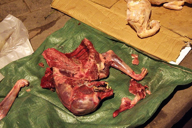 File:Dog meat Shanghai.jpg