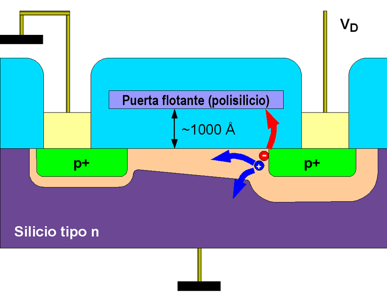 File:FAMOS esq.png